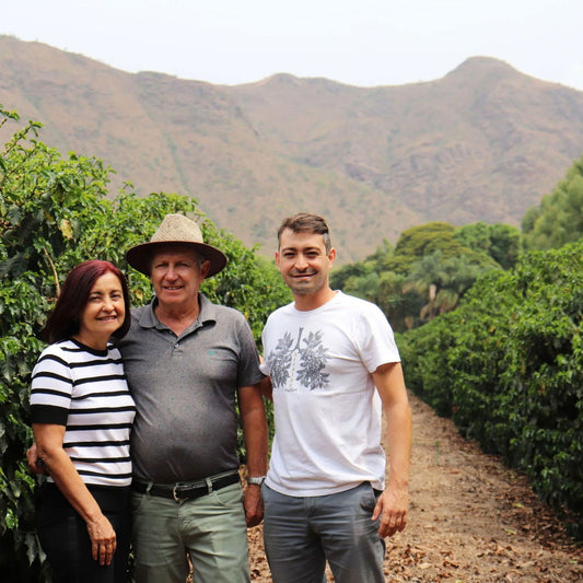 Brazil - Fazenda Monjolo / Aristides Botrel - Jockos Coffee
