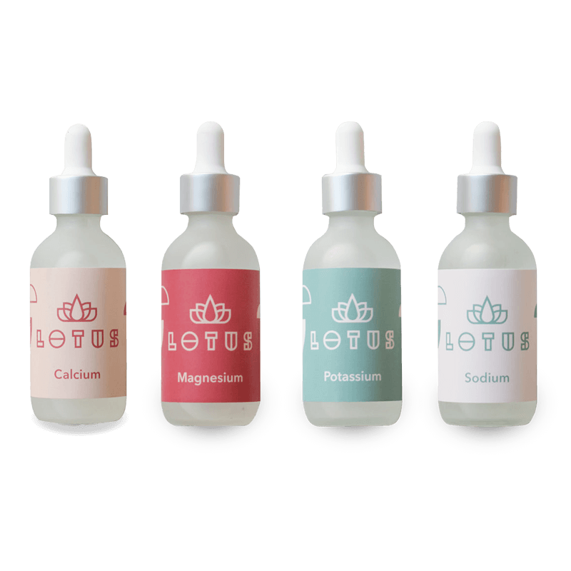 Lotus Water kit minéraux pour l'eau du café - Jockos Coffee
