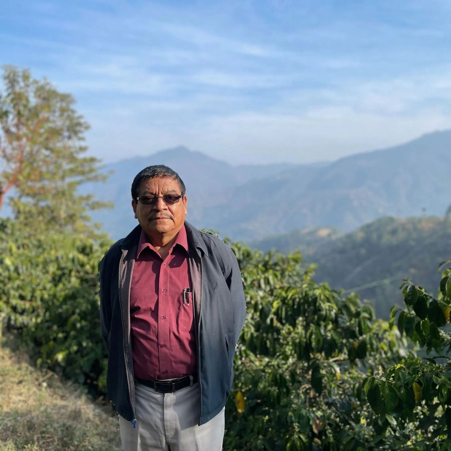 Guatemala / Santa Bárbara Small Holders - Jockos Coffee