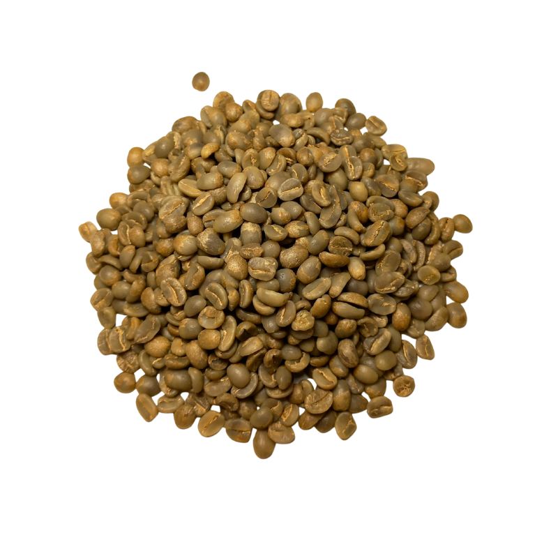 Grains verts du lot Fugi avant torréfaction
