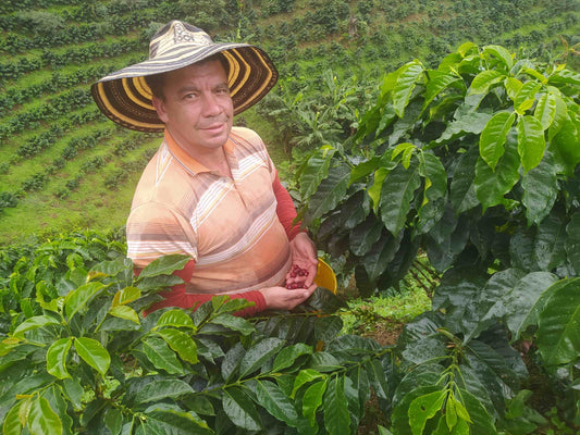 Hertson Bernal, producteur, Finca La Esperanza, Huila, Colombie