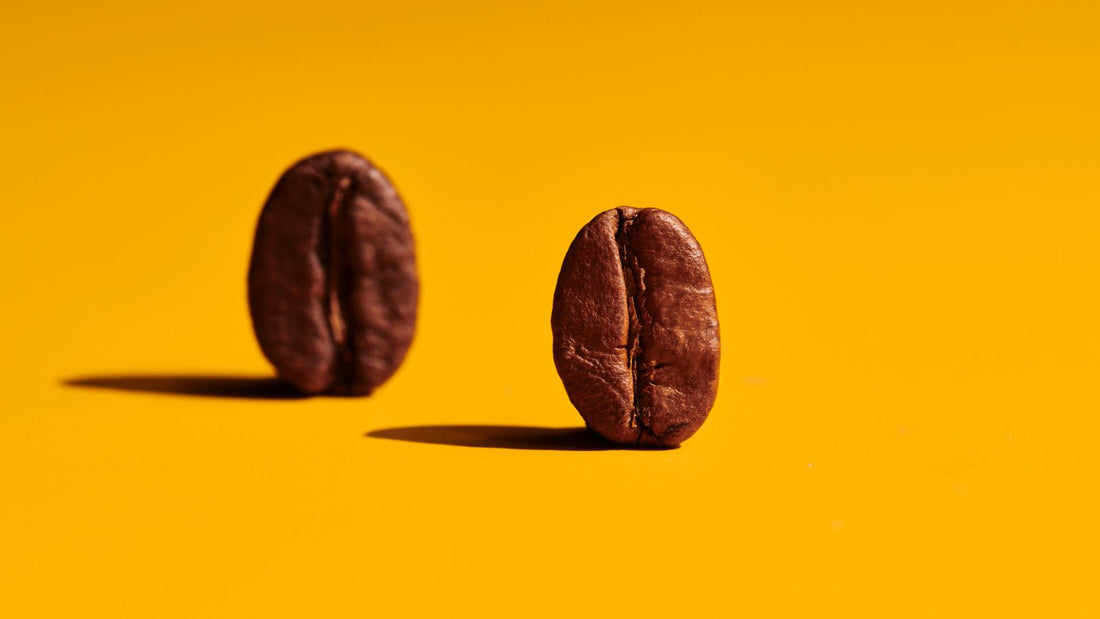 Café en grains torréfié artisanalement, prêt à être moulu