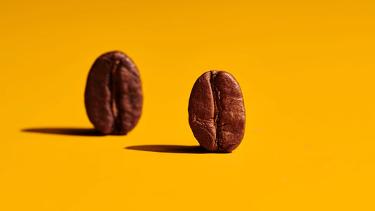 Café en grains torréfié artisanalement, prêt à être moulu