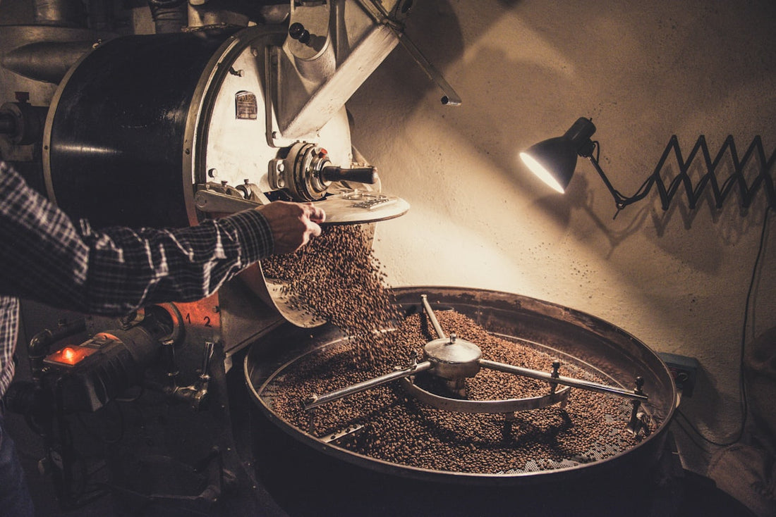 Caféiers en fleurs dans les terroirs de montagne de Colombie