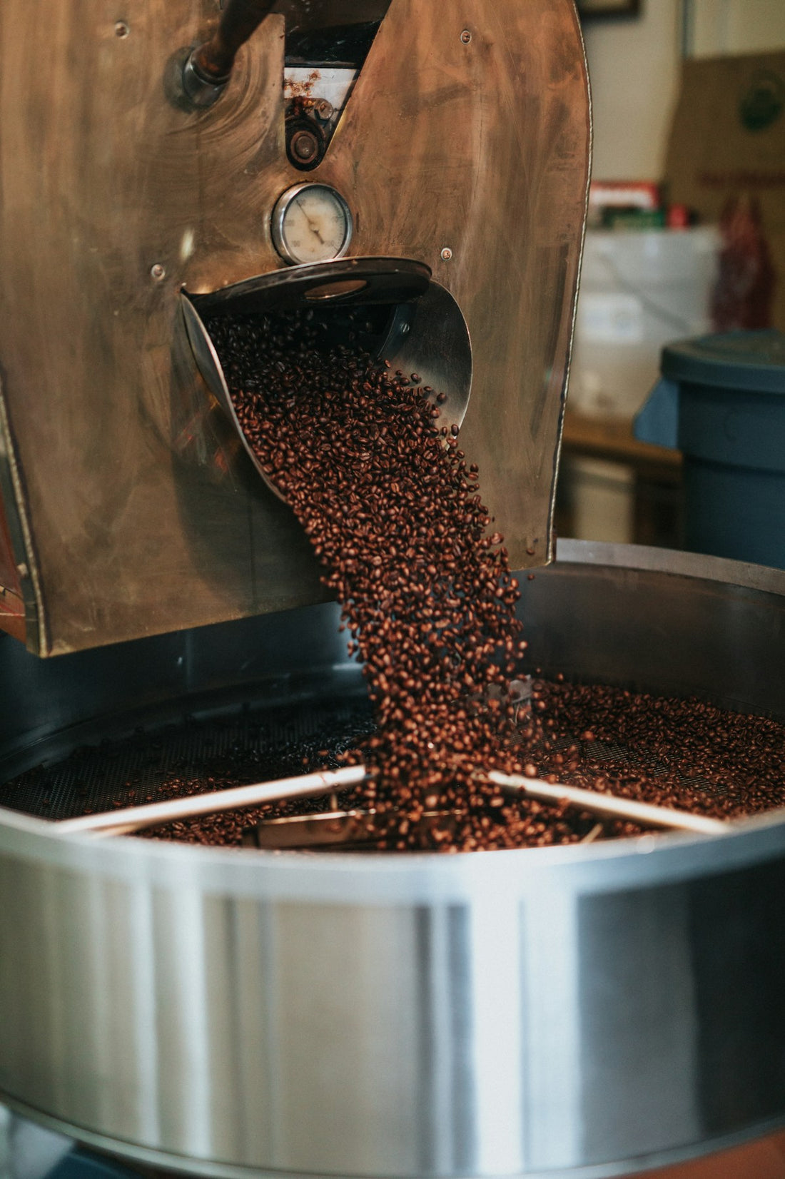 Grains de café torréfiés tombant du tambour d'un torréfacteur artisanal dans le plateau de refroidissement
