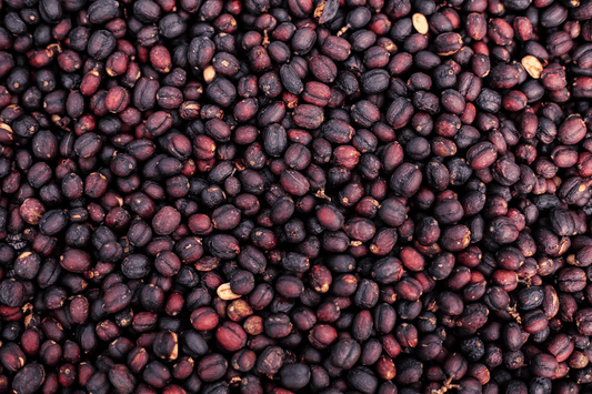 Colombia / La Cocha - Dorado – Doux et fruité