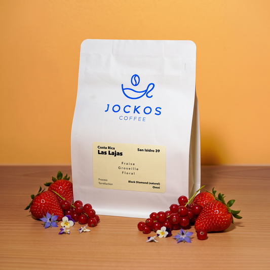 Costa Rica Las Lajas Black Diamond, café naturel Jockos Coffee : fraise, groseille, floral