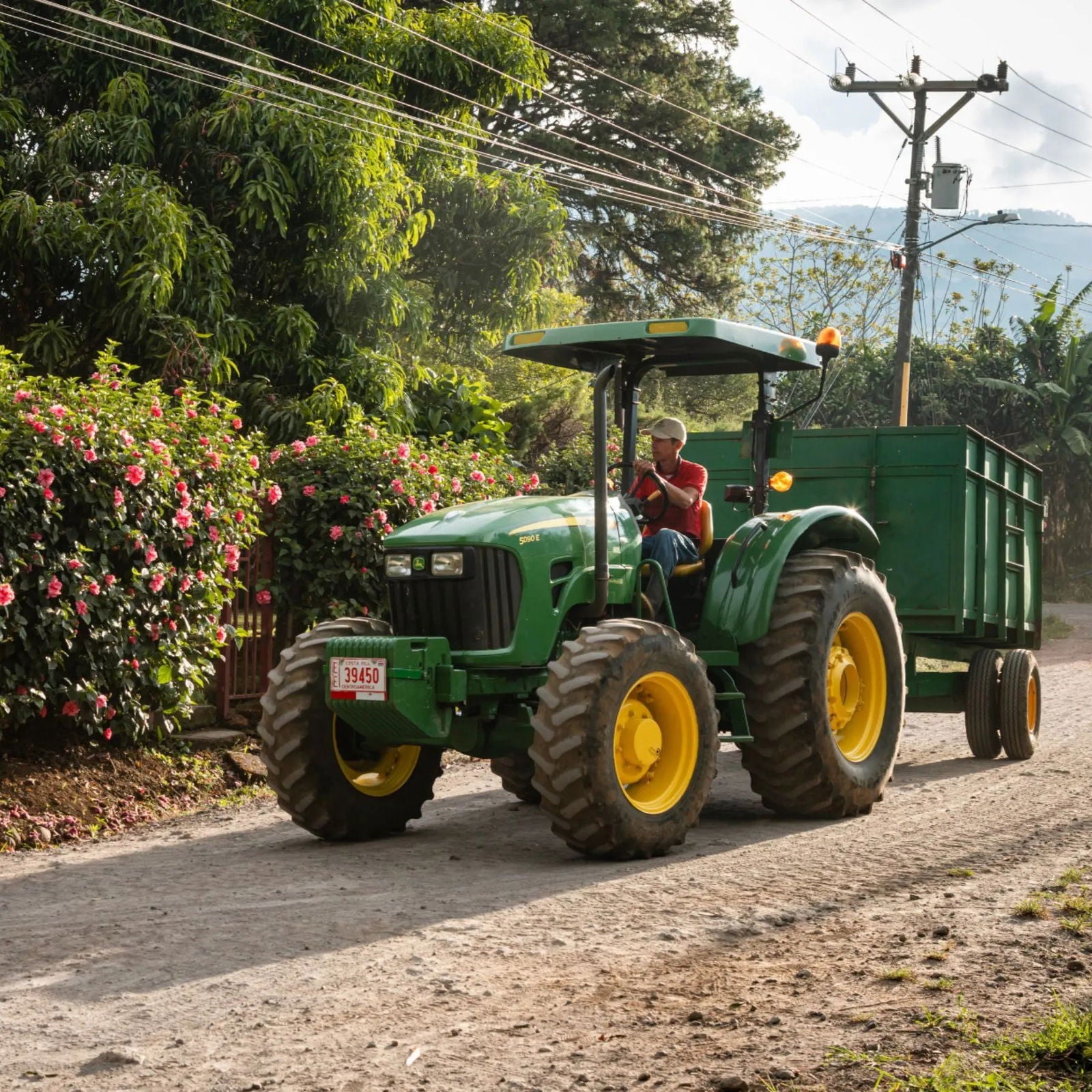 Costa Rica / Finca Carrizal - Jockos Coffee