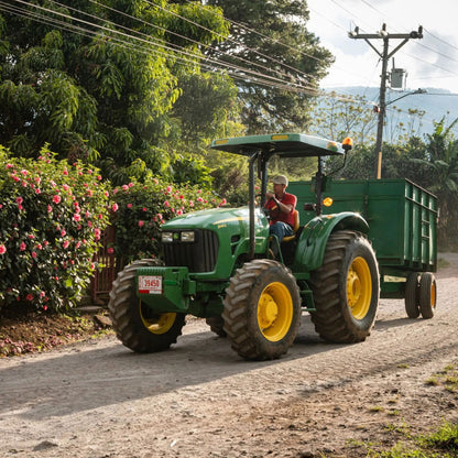 Costa Rica / Finca Carrizal - Jockos Coffee