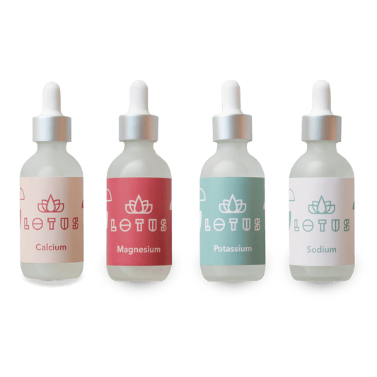 Lotus Water kit minéraux pour l'eau du café - Jockos Coffee