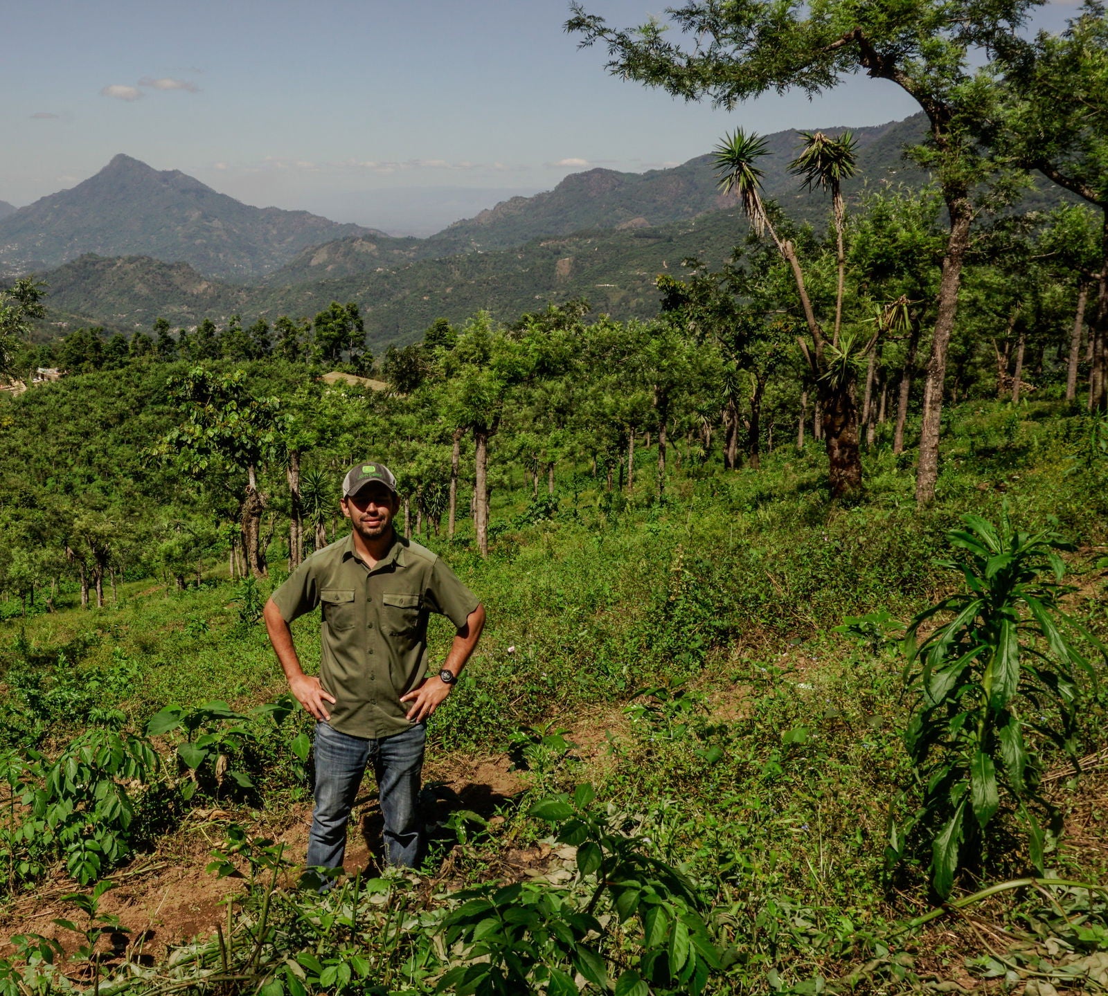 Guatemala - Finca Buenos Aires / Diana & Héctor Ovalle - Jockos Coffee