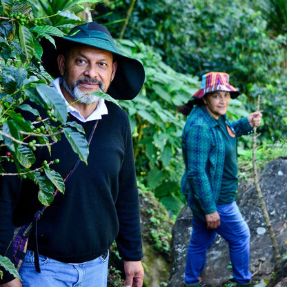 Guatemala - La Maravilla / Mauricio Rosales - Jockos Coffee