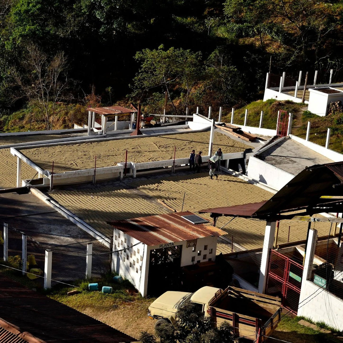 Guatemala - La Soledad / Pérez Family - Jockos Coffee