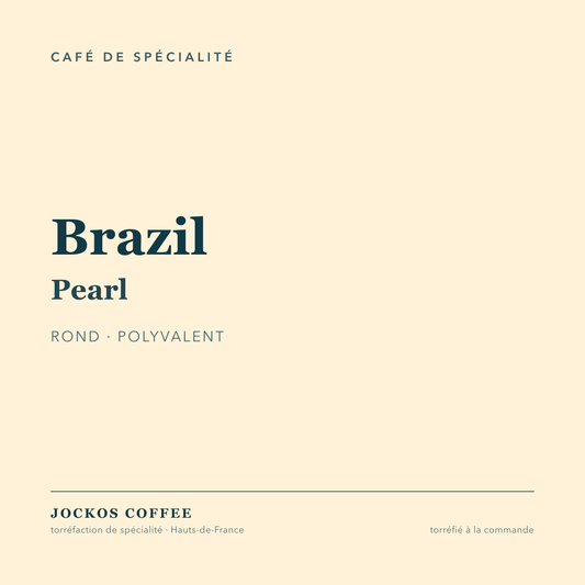 Brazil Pearl, café de spécialité pour professionnels, Jockos Coffee