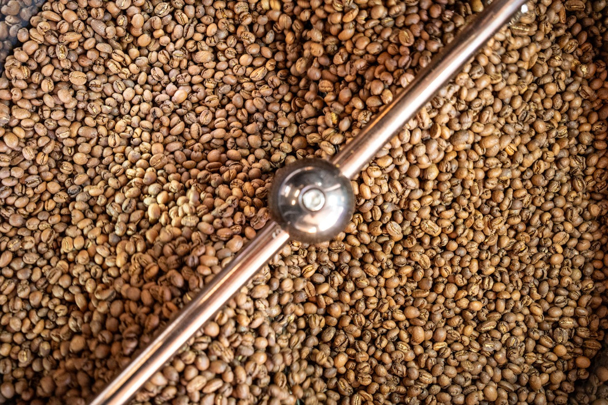 Grains de café en refroidissement dans le bac du torréfacteur, bras de brassage en cuivre